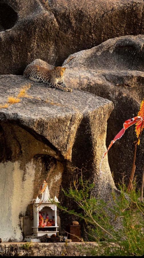 Jawai Leopard Villa Bijapur  Ngoại thất bức ảnh