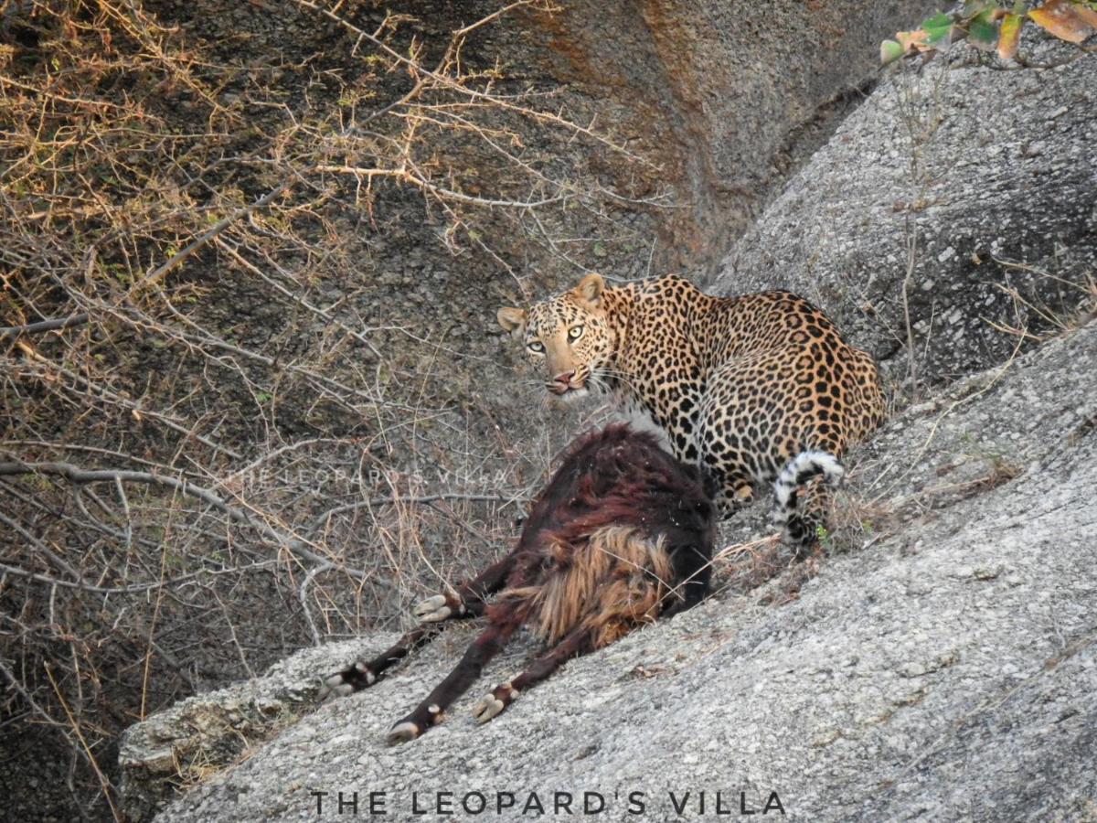 Jawai Leopard Villa Bijapur  Ngoại thất bức ảnh