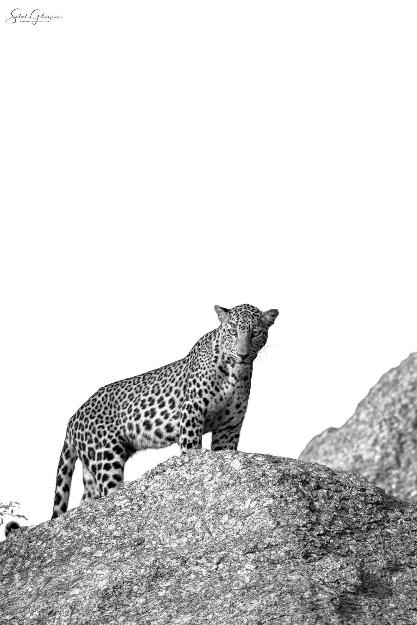 Jawai Leopard Villa Bijapur  Ngoại thất bức ảnh
