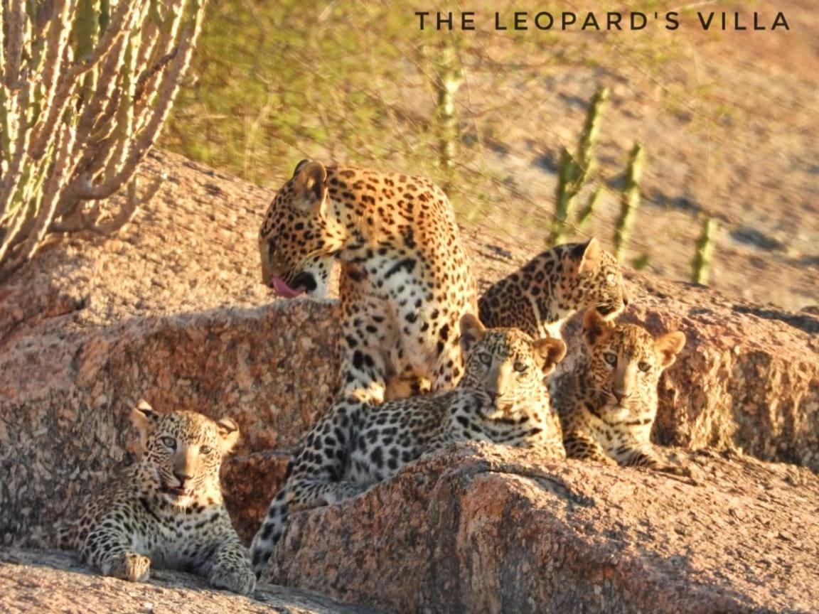 Jawai Leopard Villa Bijapur  Ngoại thất bức ảnh